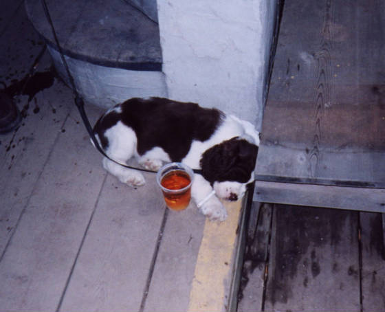 One of my brethren enjoying a nap,ale & smoke :)